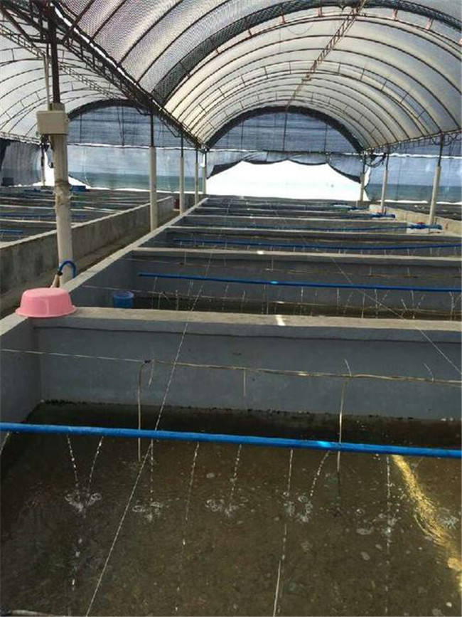池塘工廠化水產養殖污水處理